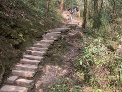 -青城山