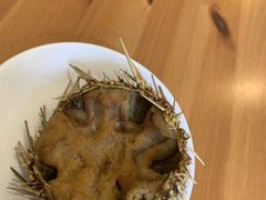 -海胆小馆(东北水饺·春柳店)