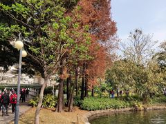 -晓港公园