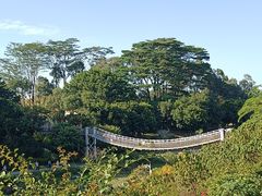 -东莞植物园