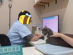 -立德动物医院·24小时中心(番禺区院区)