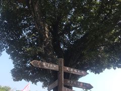 -胡里山炮台
