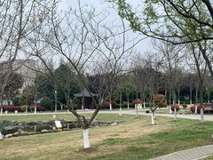 -随州市曾侯乙墓遗址博物馆