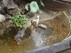 -苏浙徽·江南荟·本味融合菜(相城方圆里店)