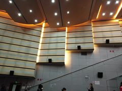 -广州蓓蕾剧院