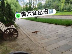 -元大都城垣遗址公园