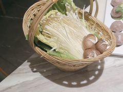 -同仁四季椰子鸡(福田东园总店)
