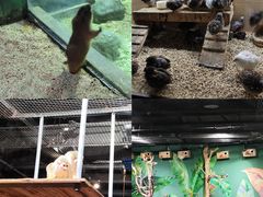 -海合安天津极地海洋公园
