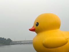 -深圳人才公园