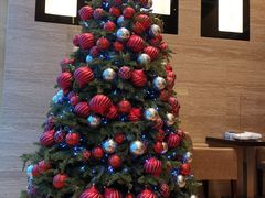 -香港尖沙咀凯悦酒店