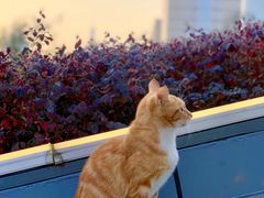 -UNIUNI(凯瑟琳广场店)