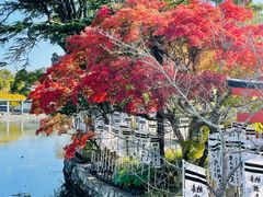 -鹤冈八幡宫
