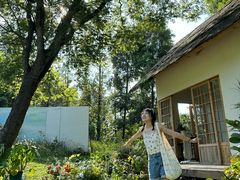 -成都保利公园皇冠假日酒店(熊猫基地店)