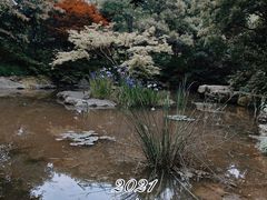 -上海滨江森林公园