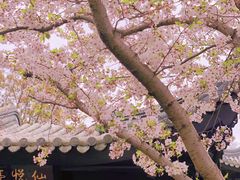-上海皇廷花园酒店·西餐厅·自助餐