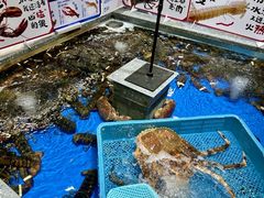 -盒马鲜生(皇庭广场店)