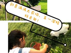 -前小桔亲子创意农场·草莓采摘·露营烧烤