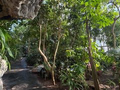 -北京植物园-展览温室