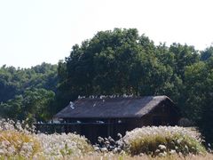 -良渚古城遗址公园