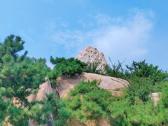 -济南国际园博园