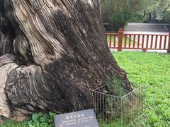 -黄帝陵