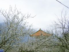 -广州市流溪河国家森林公园