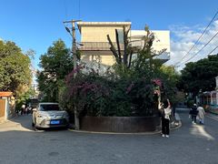 -溪岸路花鸟市场