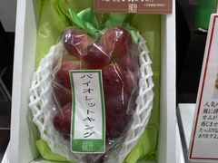 -阪急百货店(梅田总店)