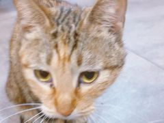 -广记海鲜(杨汊湖一店)