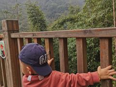 -都江堰中华大熊猫苑