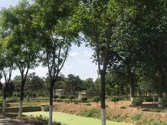 -东郊湿地公园