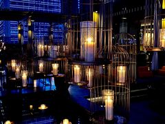 -丽晶轩中餐厅(重庆丽晶酒店)