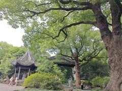 -惠山古镇·寄畅园