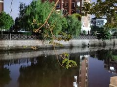 -云间粮仓
