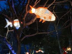 -陶缘一号·四季缘·老字号顺德菜·户外婚礼家宴(西滘店)