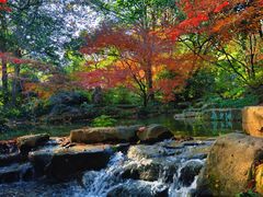 -中国茶叶博物馆(双峰馆区)