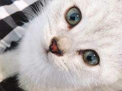 -北京恒爱动物医院(清景园分院)