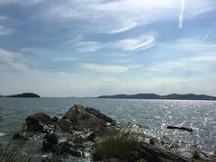 -上海市保健医疗中心(华东疗养院)