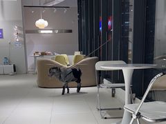 -怪兽屋·羊驼·猫咖·狗咖(俊华广场店)