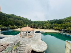 -广东惠东海龟国家级自然保护区