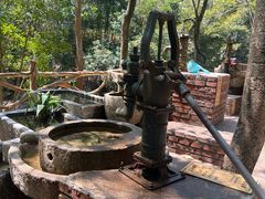 -广州白江湖森林公园