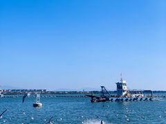 -昆明冠生园·蛋糕·面包(南强街店)