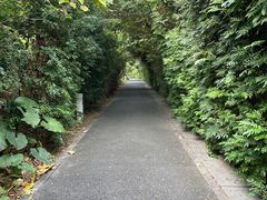 -华侨城湿地公园