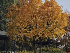 -白塘生态植物园