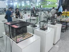 -上海昆虫博物馆