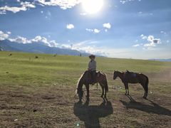 -蘑菇拌面•正宗新疆菜