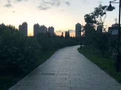 -群力丁香公园