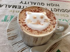 iphone_upload_pic-海边的猫和咖啡馆