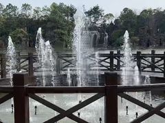-上海鲜花港