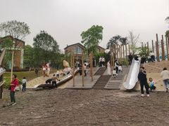 -铁山坪森林公园